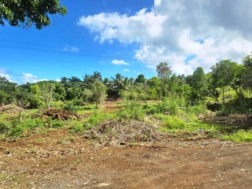 Agricultural Land