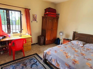Immobilier Commerciaux