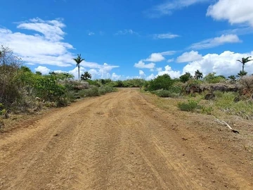Terrain Agricole