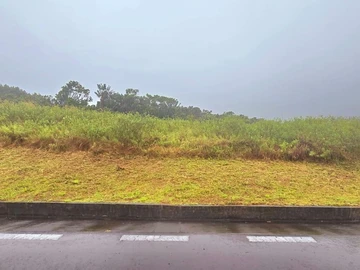 Terrain
