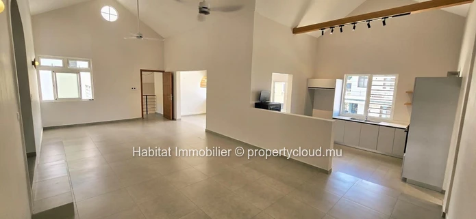 Superb unfurnished house of 364 m² on a plot of 93 toises at Rose-Hill