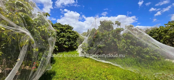 Ce terrain agricole clôturé de 1 arpent 17 situé à La Flora est un véritable joyau