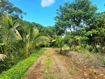 Agricultural Land