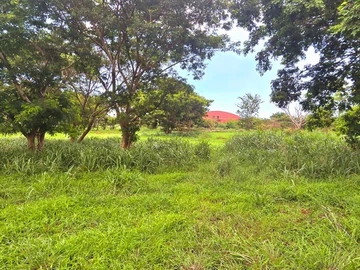 Terrain Agricole