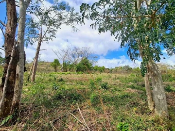 Terrain