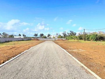 Terrain