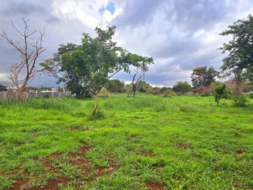 Terrain Agricole