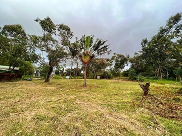 Terrain