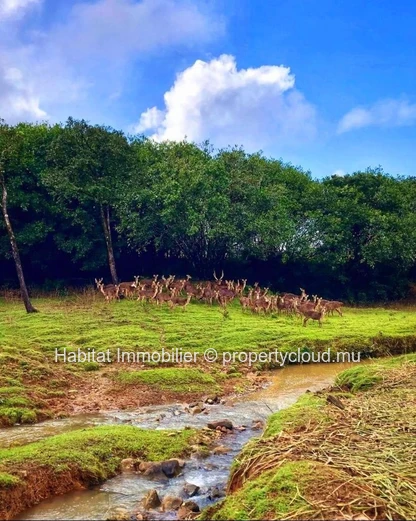 FOR SALE - Beautiful plot of land of 83 toises enjoying an exceptional view of the mountain, located at Domaine de La...
