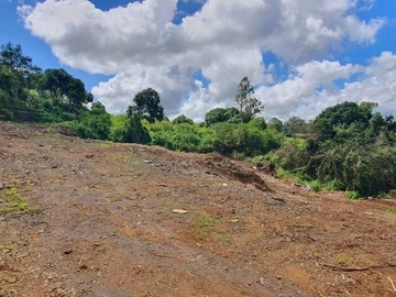 Terrain