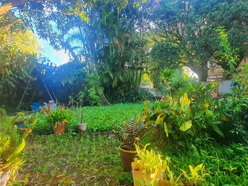 Terrain