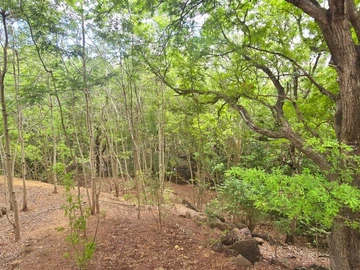 Terrain