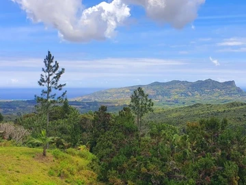 Terrain Commercial
