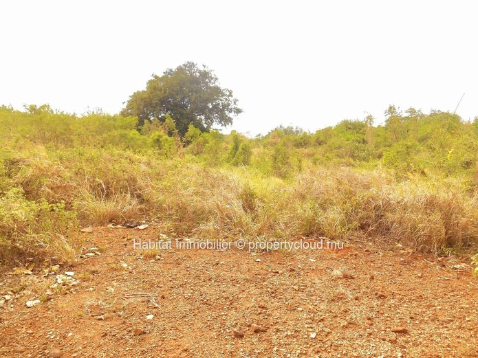 Ce beau terrain en toute propriété de 3 arpents (12,663 m2) se situe dans un quartier paisible à Balaclava