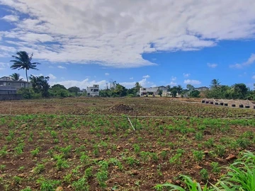 Land