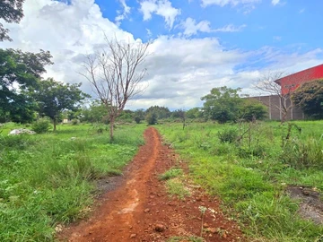 Terrain Agricole