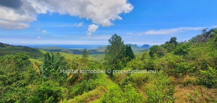 A VENDRE - Ce magnifique terrain de 4 arpents situé dans un cadre enchanteur à Plaine Champagne
