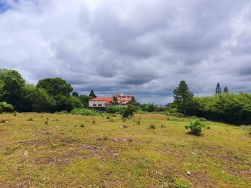 Terrain