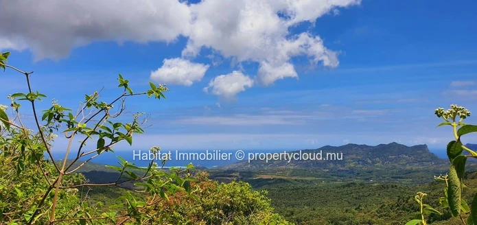 A VENDRE - Ce magnifique terrain de 4 arpents situé dans un cadre enchanteur à Plaine Champagne