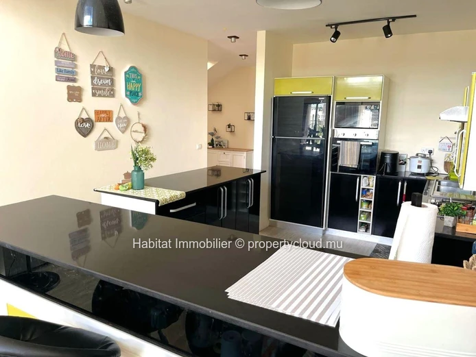 Discover stylish and comfortable living in this fully furnished duplex penthouse, perfectly combining space, practica...