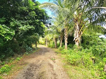 Agricultural Land