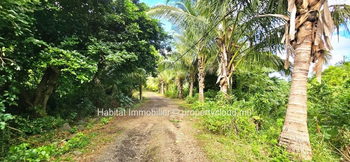 Plots of land ranging from 50 perches (2,110 m²) to 67 perches (2,840 m²) at Baie du Cap 