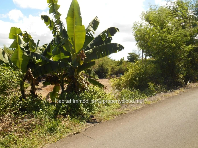 FOR SALE - Nice residential plot of land of 1298 toises in Grand Gaube