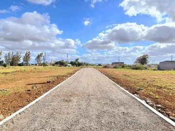 Terrain