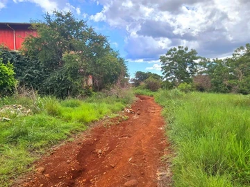 Terrain Agricole