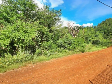 Terrain Commercial