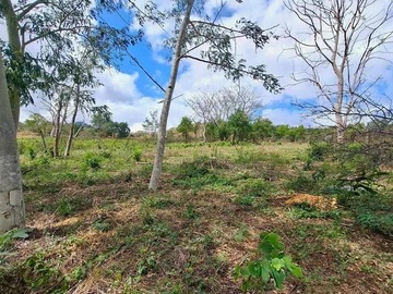 Terrain