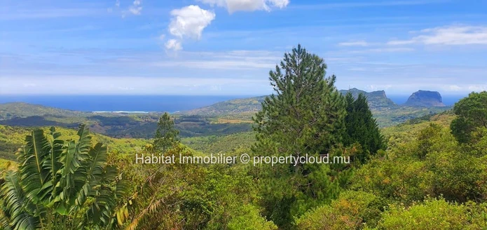 A VENDRE - Ce magnifique terrain de 4 arpents situé dans un cadre enchanteur à Plaine Champagne