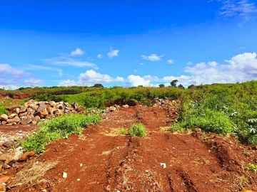 Terrain Commercial