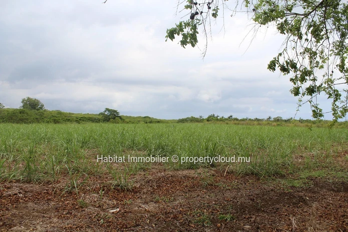 FOR SALE - Agricultural land of 4 acres on the main road in Petite Julie. 