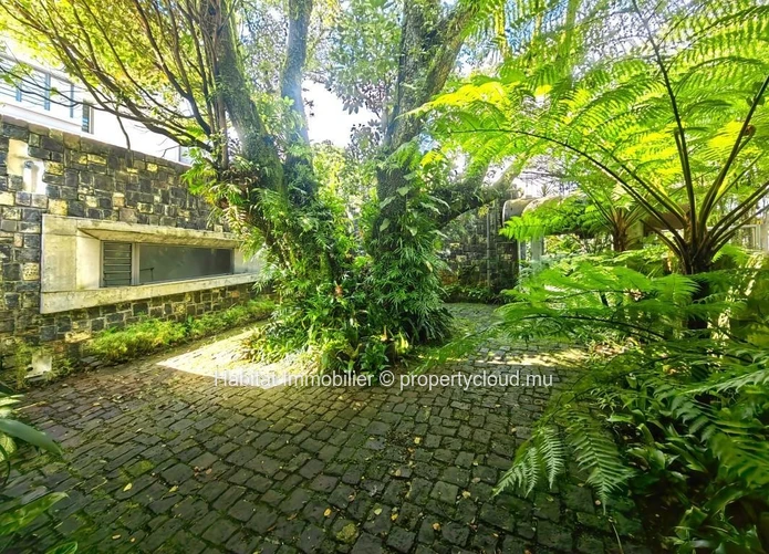 To rent : Stunning house in Floréal