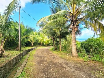 Agricultural Land