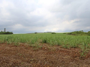 Terrain Agricole