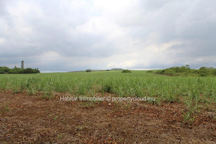 FOR SALE - Agricultural land of 4 acres on the main road in Petite Julie. 