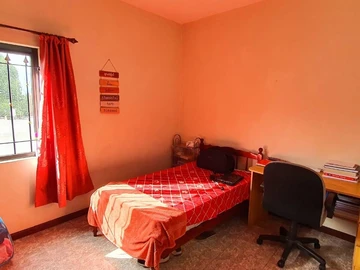 Immobilier Commerciaux