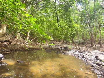 Terrain