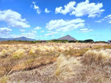 Terrain