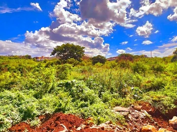 Terrain Commercial