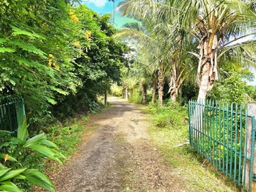Agricultural Land