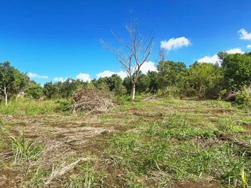 Agricultural Land