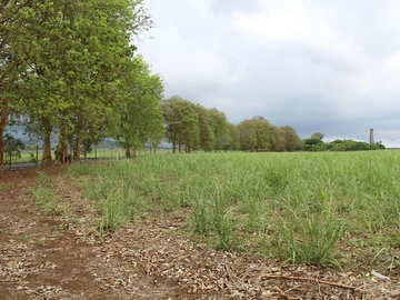 Terrain Agricole