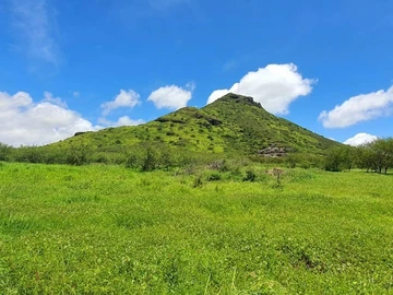 Terrain