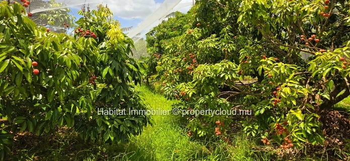 Ce terrain agricole clôturé de 1 arpent 17 situé à La Flora est un véritable joyau