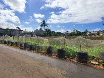 Land