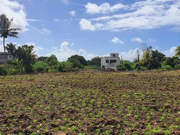Land