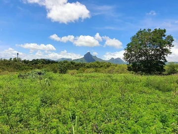 Terrain